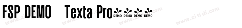 FSP DEMO   Texta Pro字体转换
